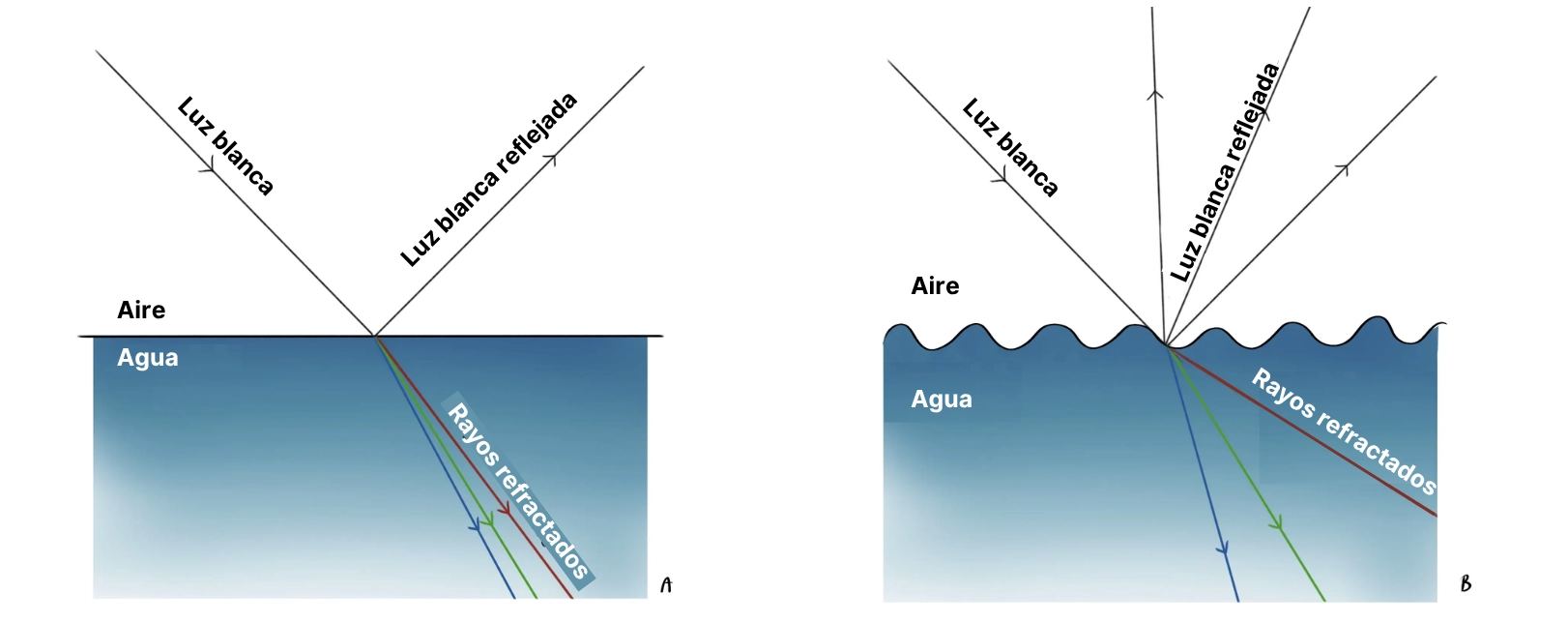 esquema del agua y sus reflejos