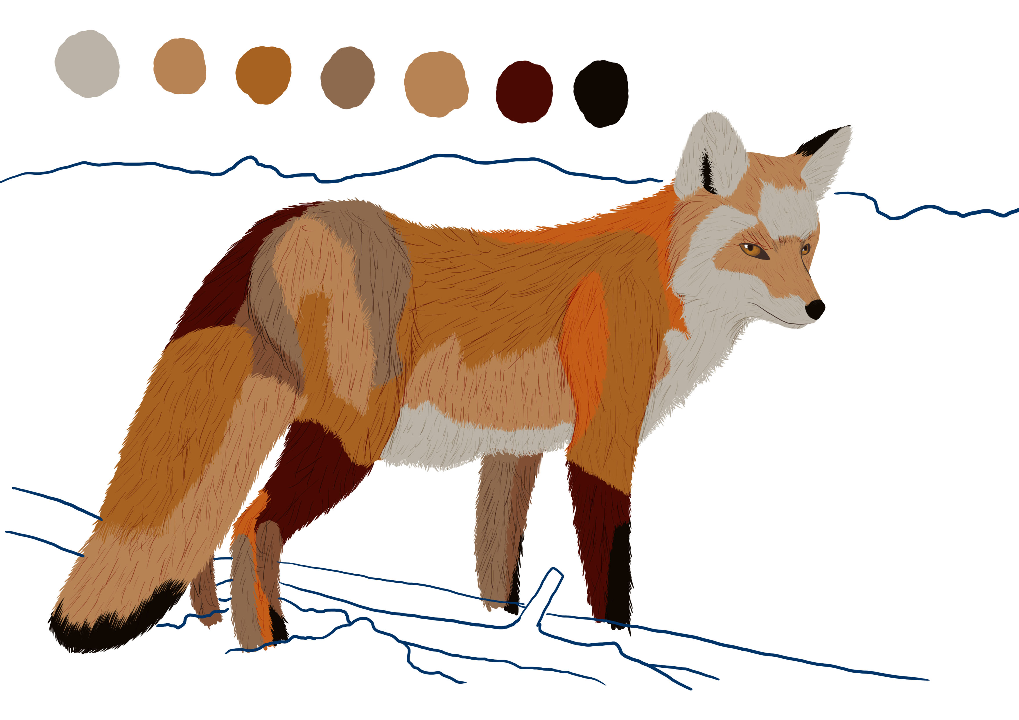 dessiner les détails de la fourrure du renard