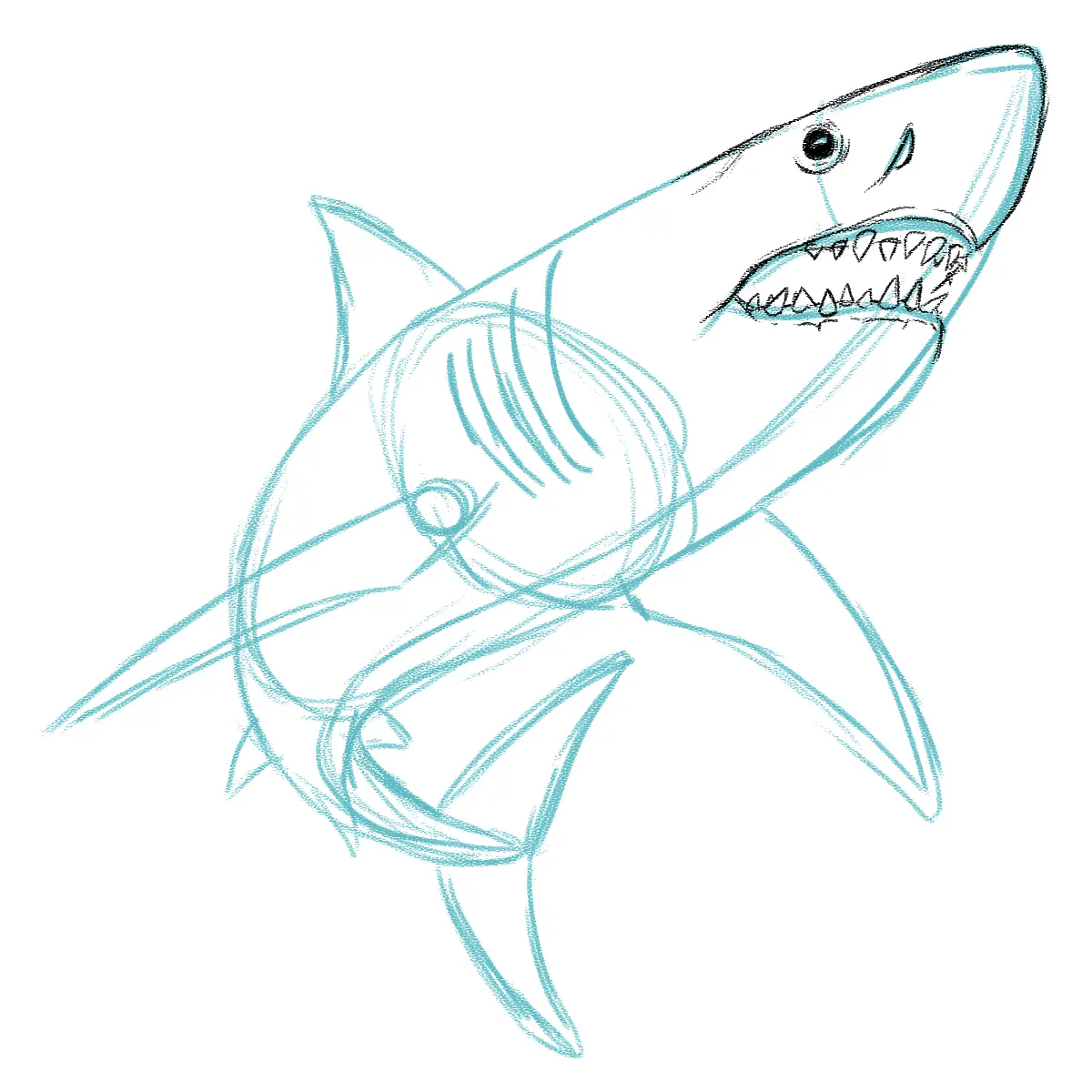 dessiner l’oeil d’un requin