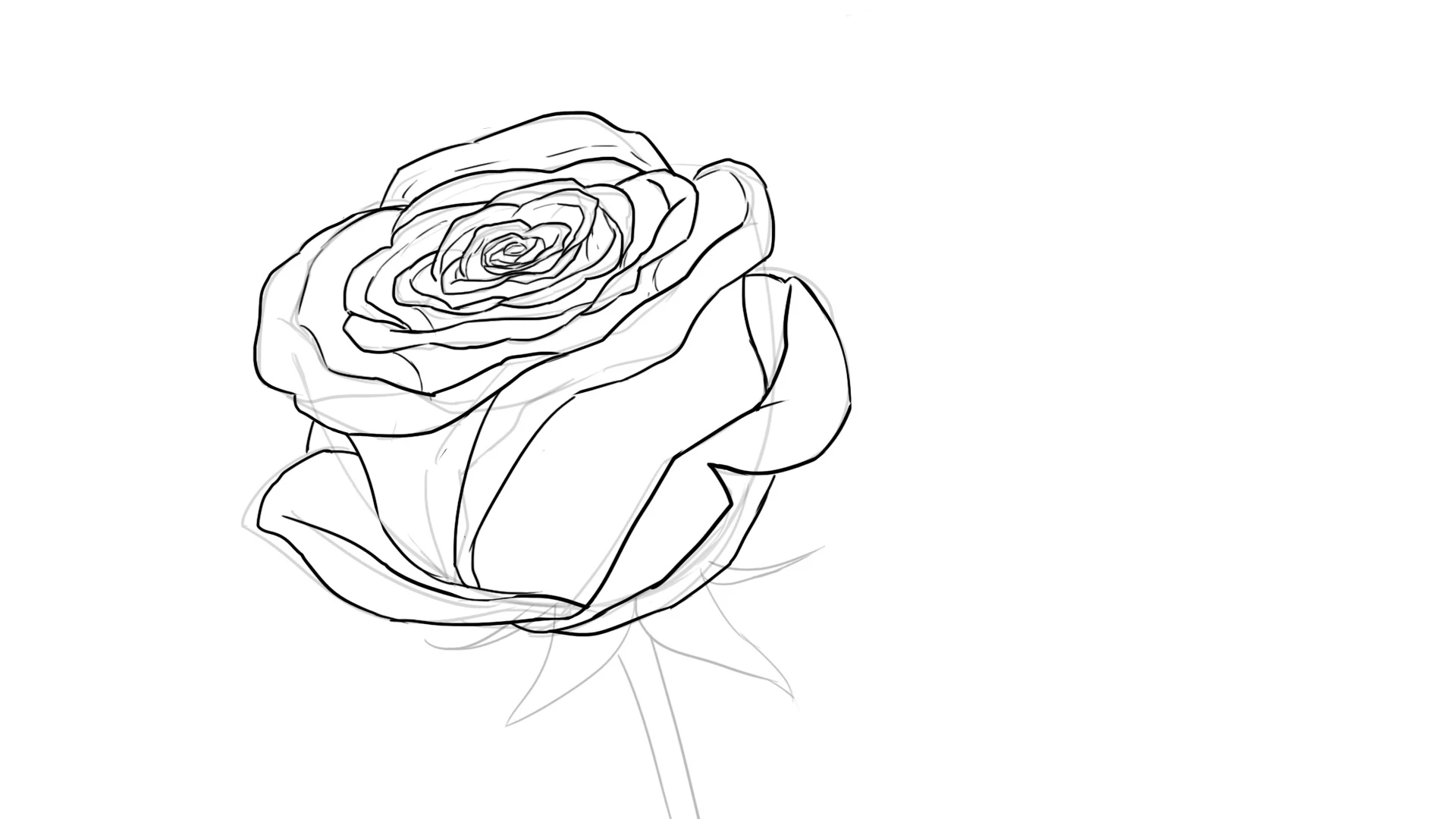 Dessiner la rose, mise au propre