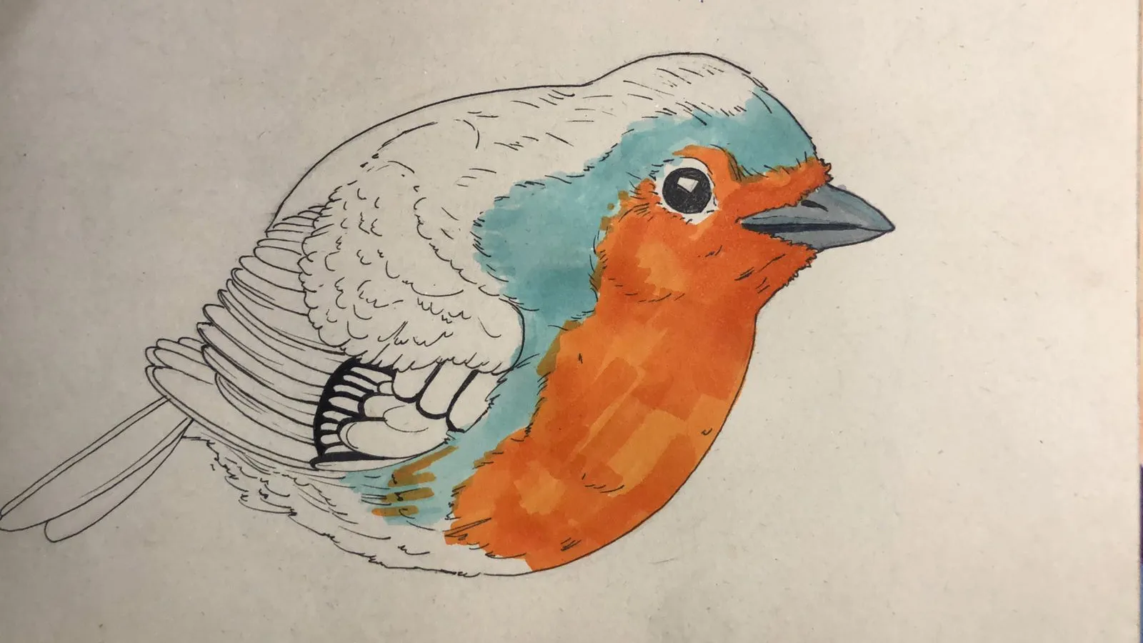 dessiner la couleur d’un rouge-gorge