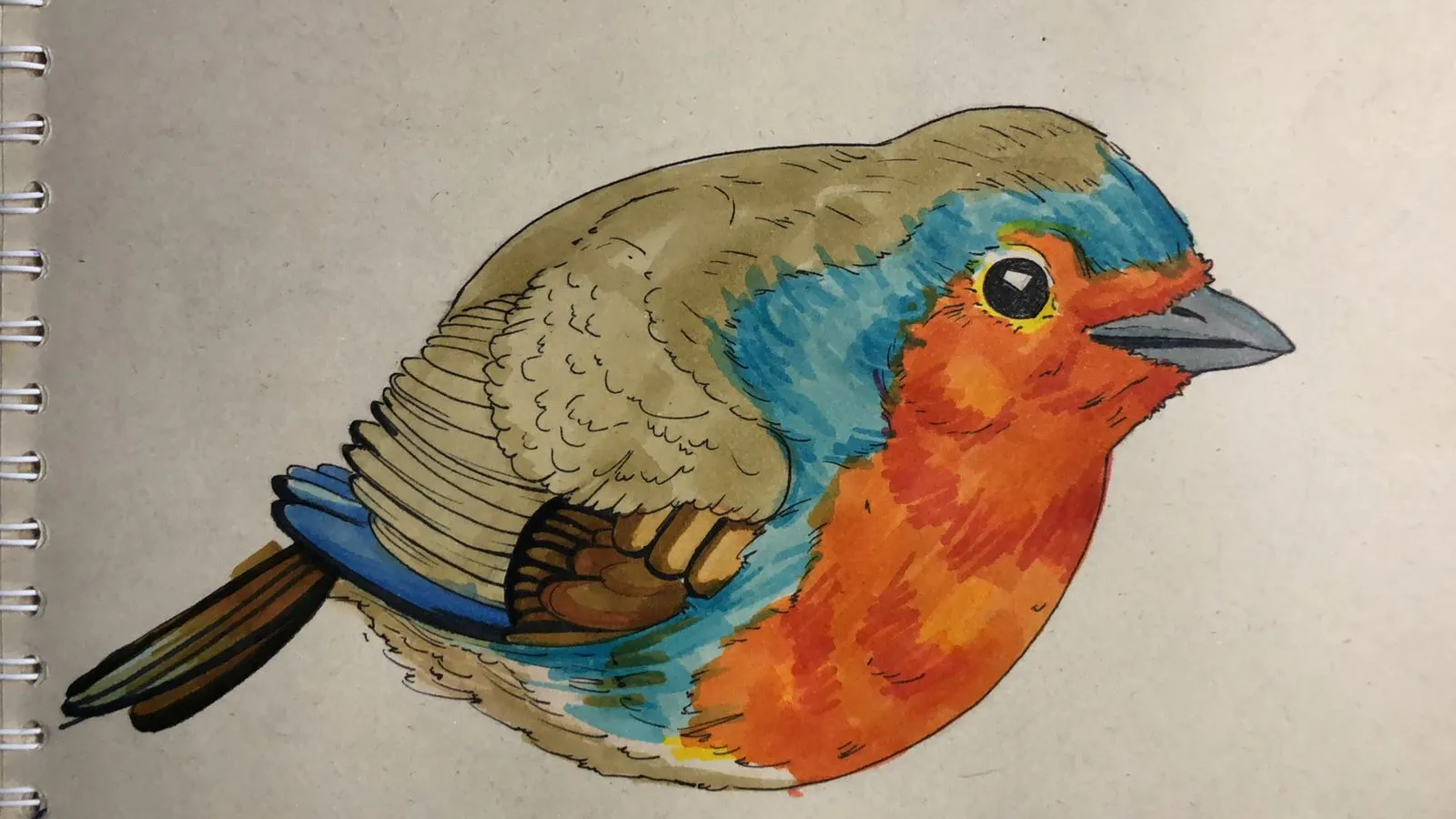 dessiner le plumage d’un rouge-gorge