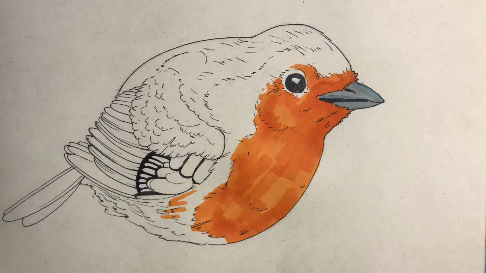 dessiner la poitrine d’un rouge-gorge