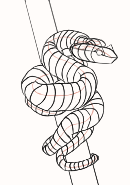 Dessin du corps du serpent 2