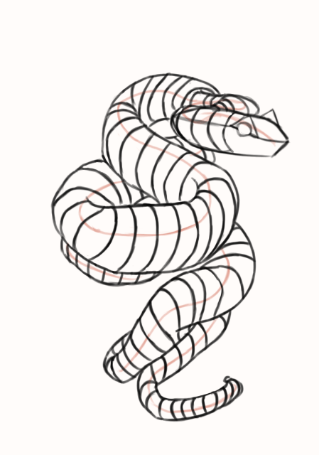 Dessin du corps du serpent