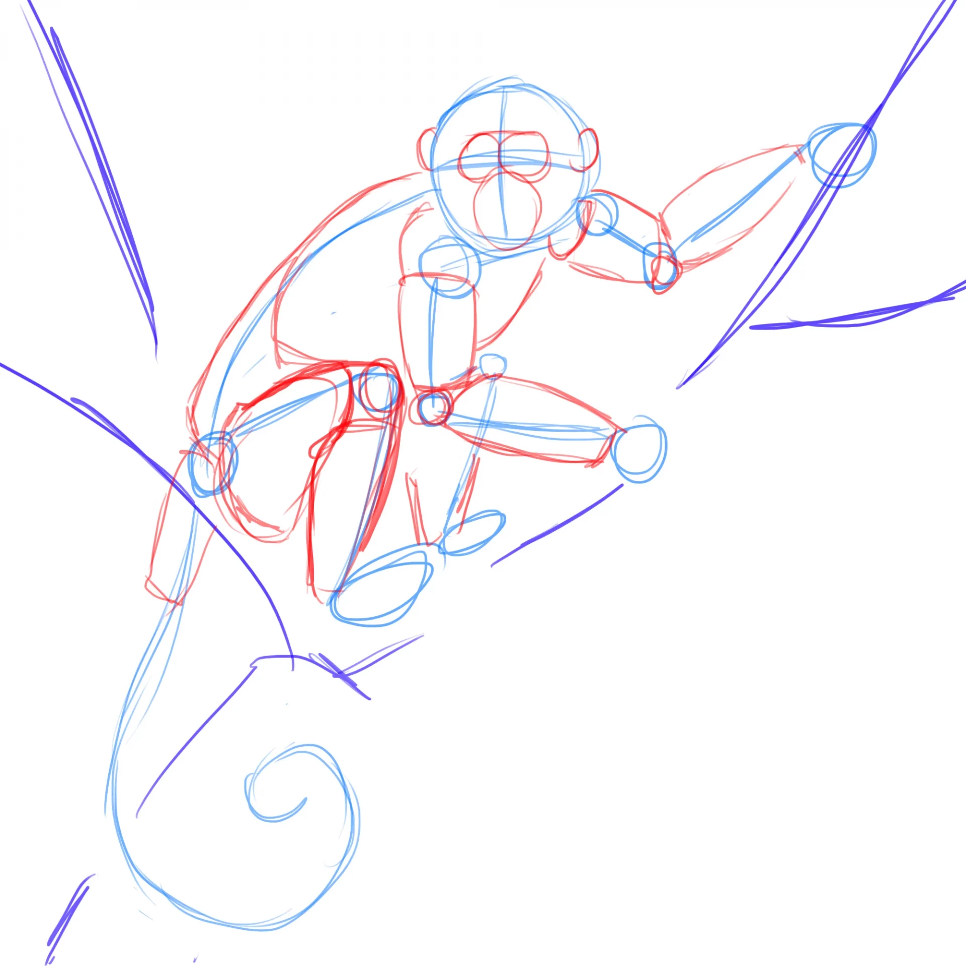 dessiner le corps d’un singe