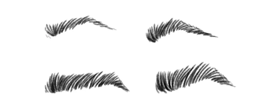 dessiner les différents types de sourcils