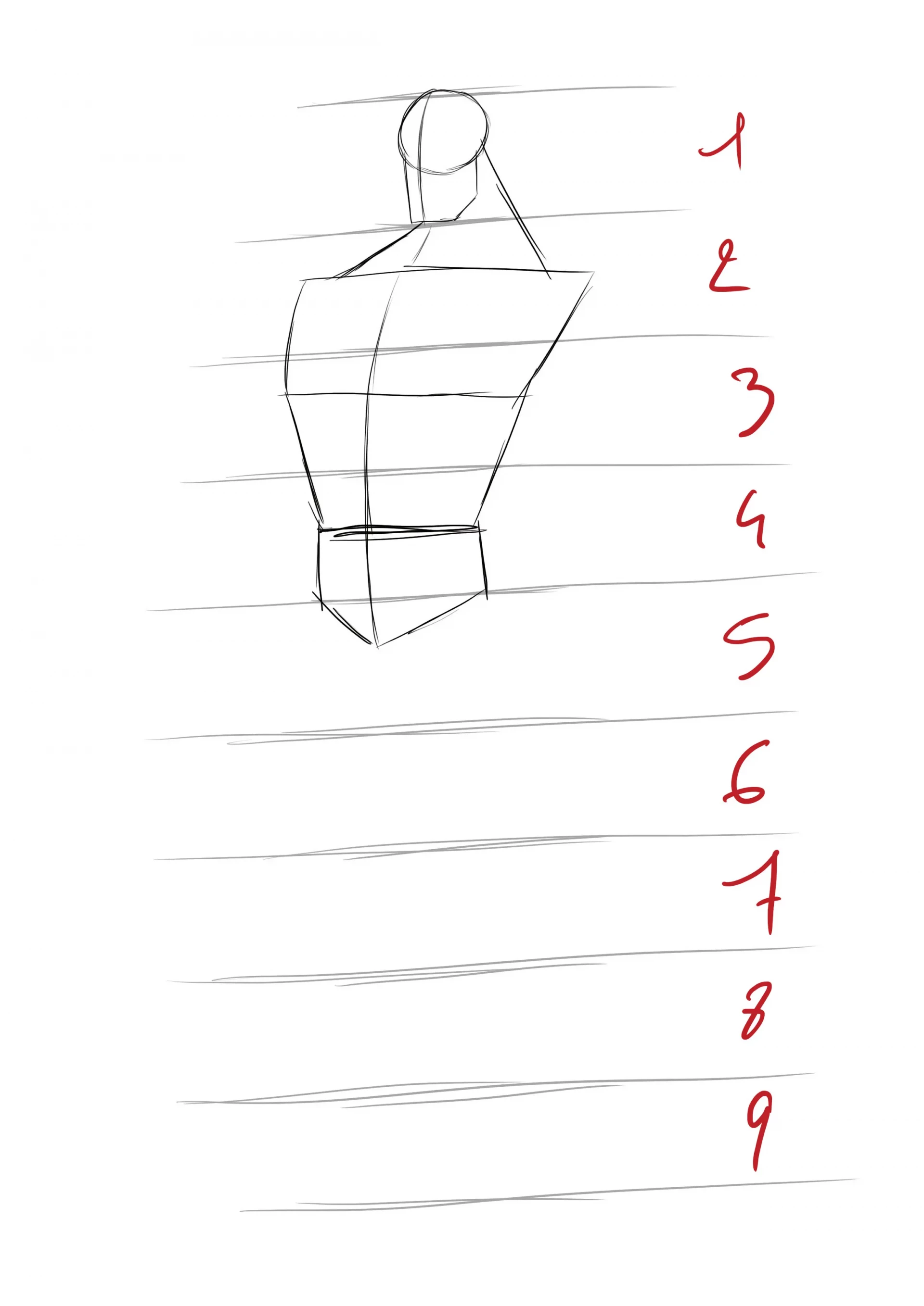 the basis of the drawing with Superman's torso