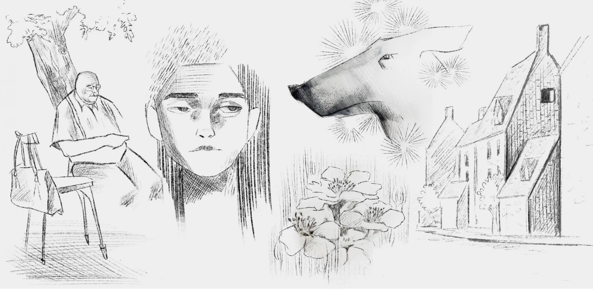 l’observation pour dessiner