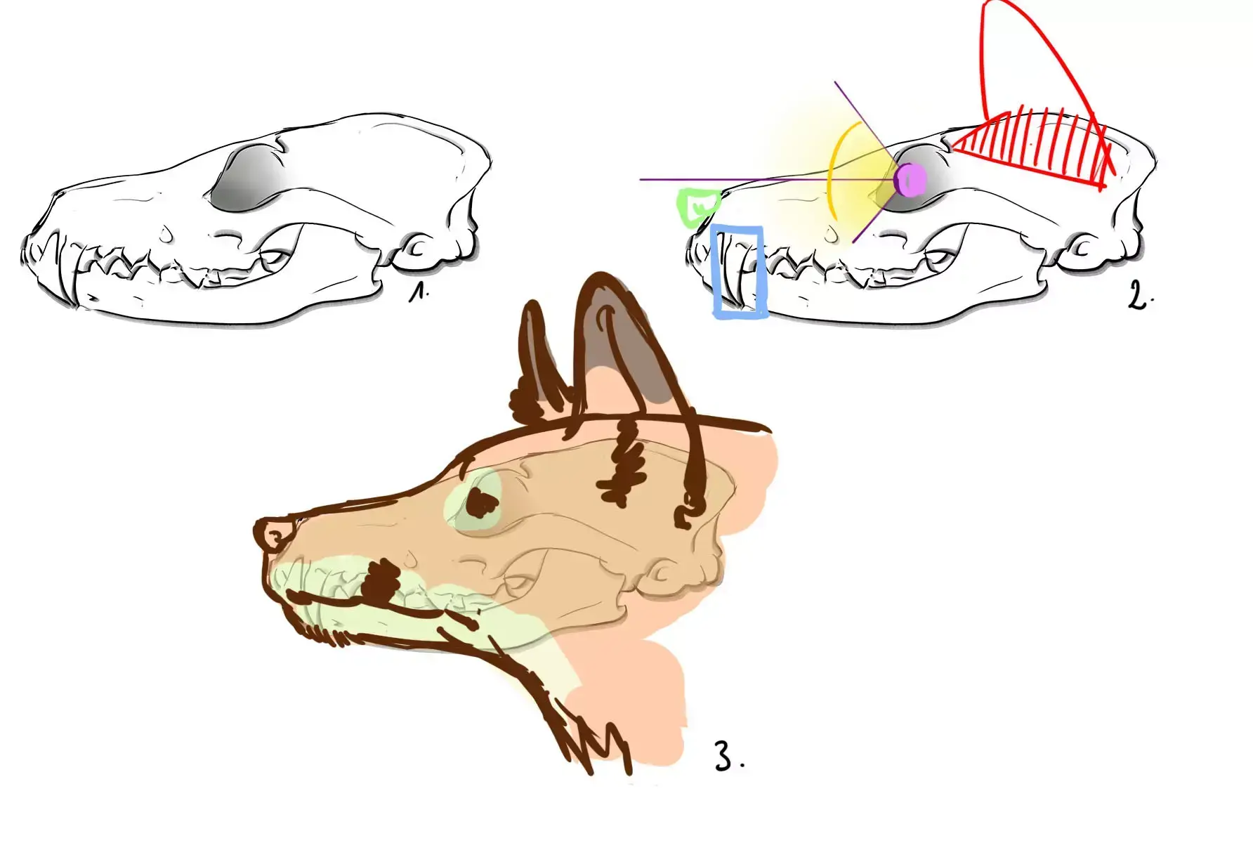 Dessiner Une T te De Renard Blog Dessindigo