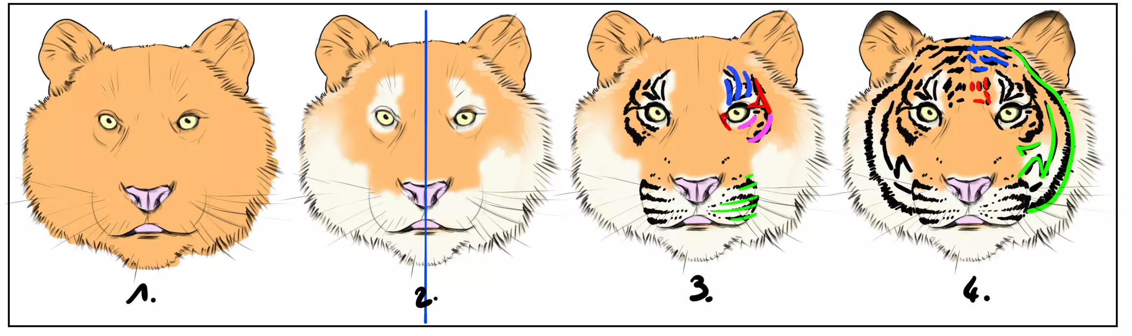 dessin de la fourrure de la tête d’un tigre