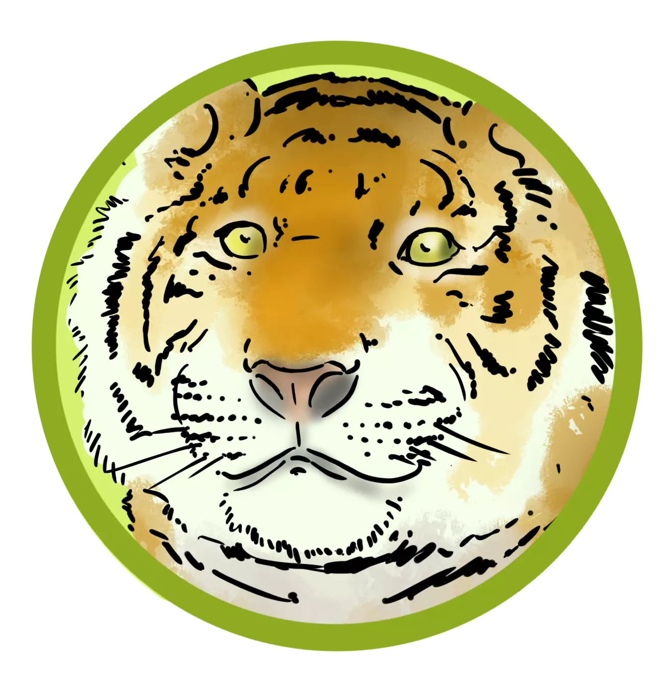 image de la tête d’un tigre