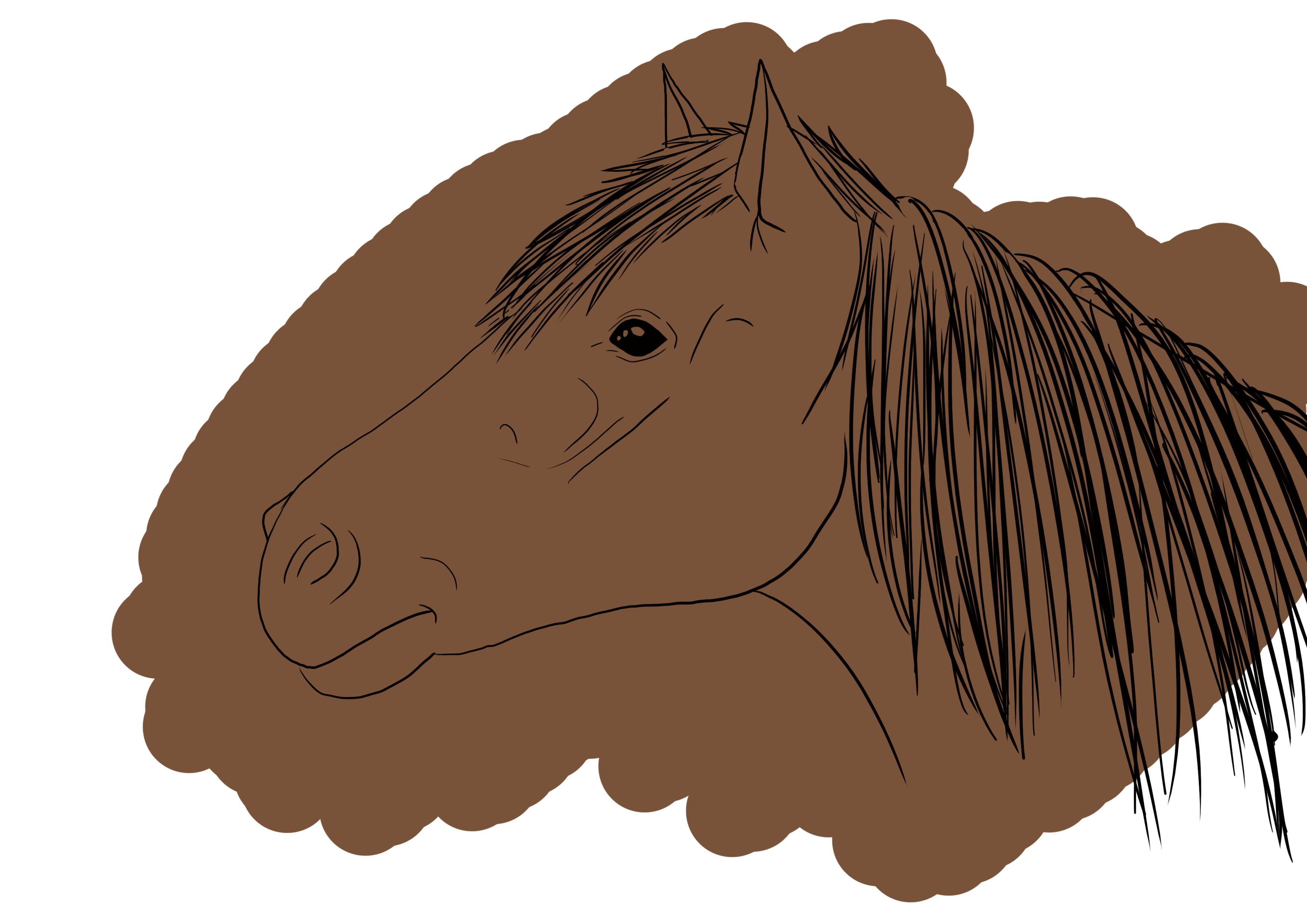 colorier la tête de cheval