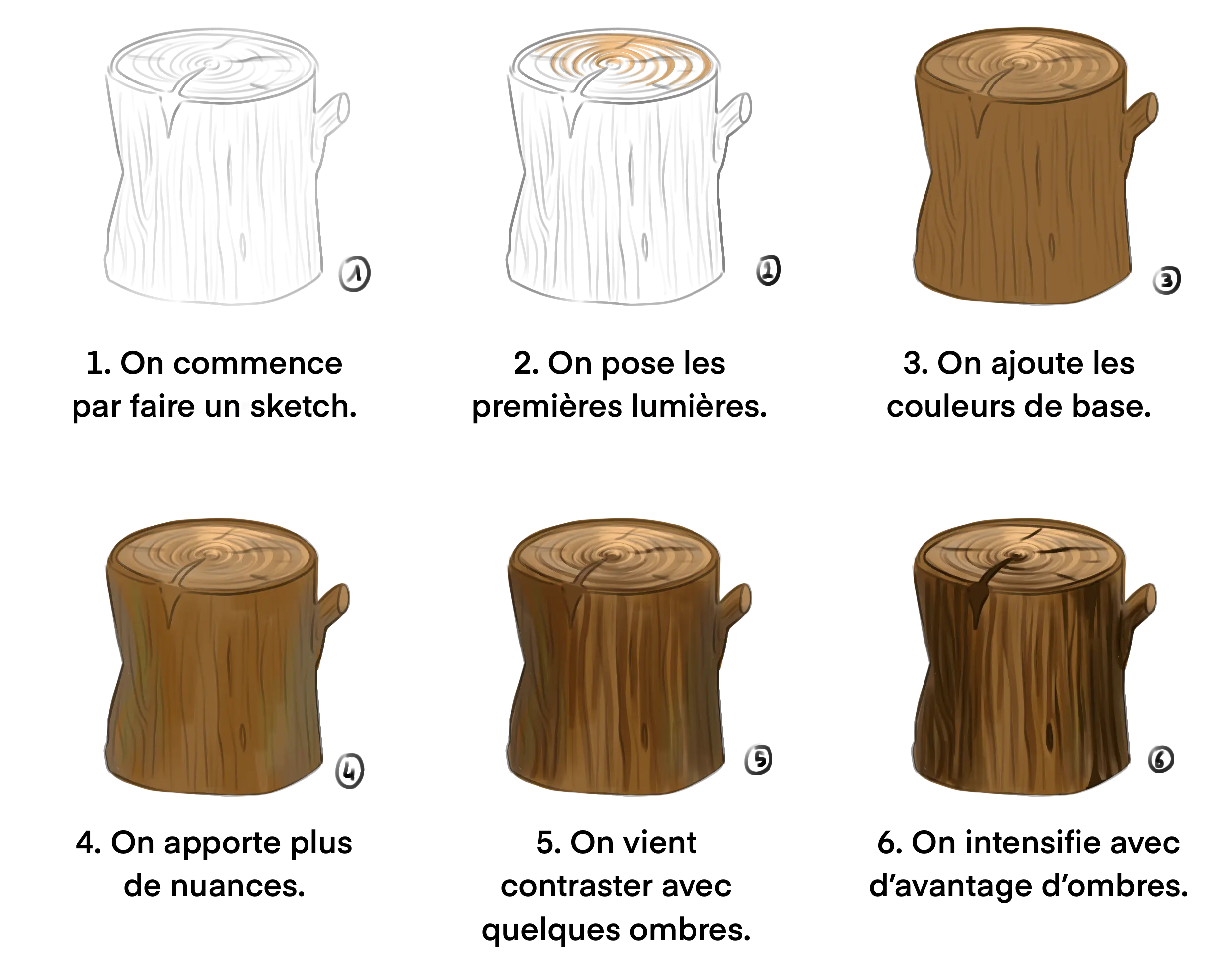 dessiner la texture d’un rondin de bois