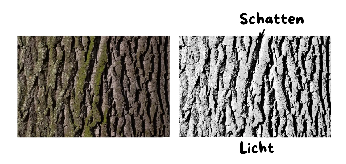 Schatten und Licht eines Baumbildes, um seine Textur zu verstehen