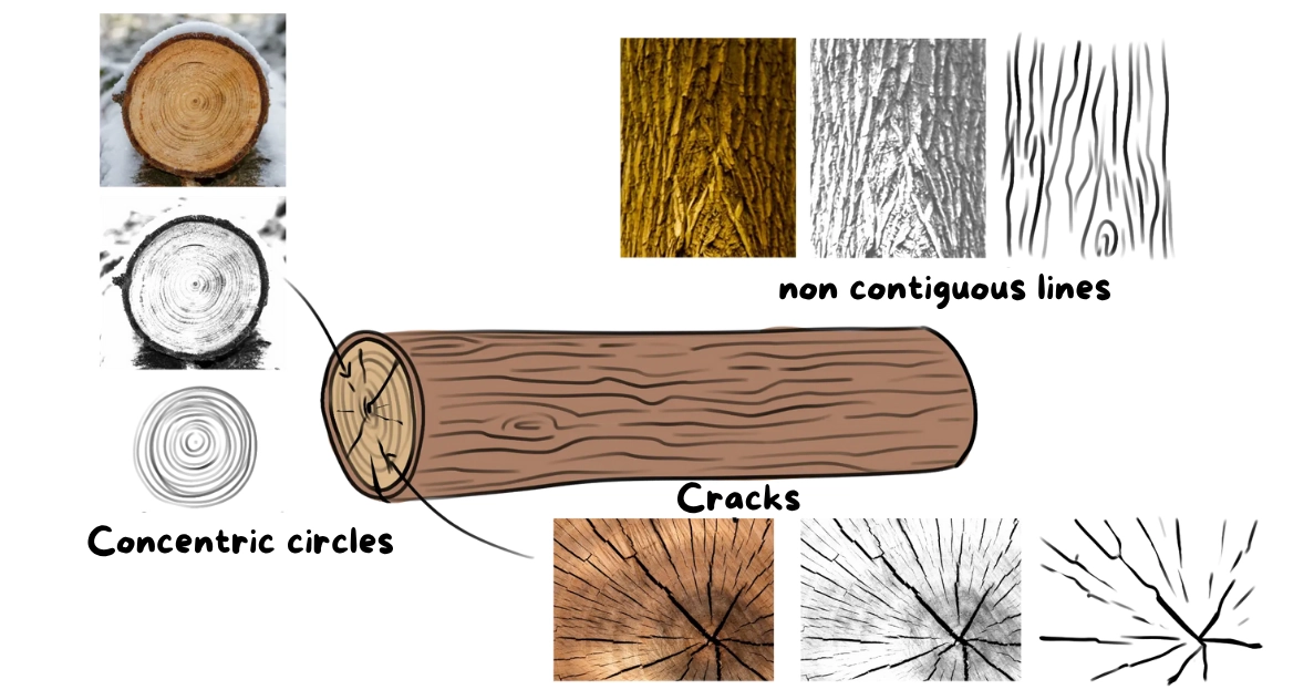 diagram of a log to draw its texture