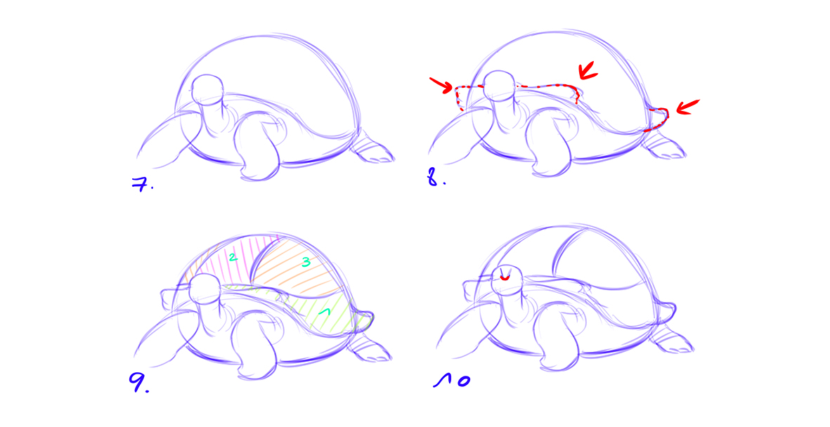 dessiner une tortue étape 2