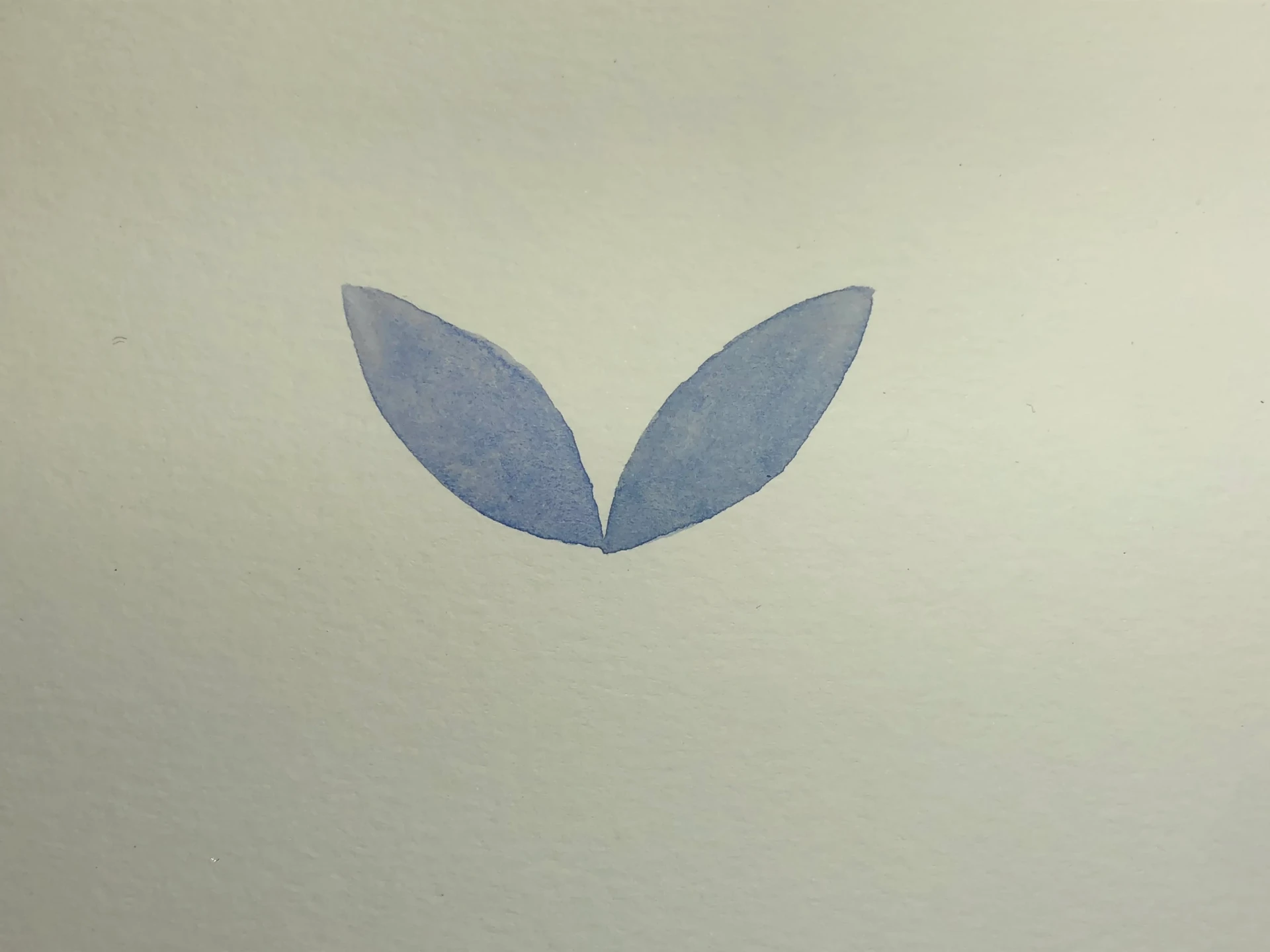 peindre la base d'une fleur à l’aquarelle