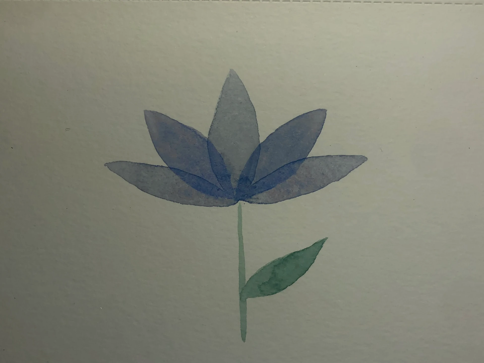 peindre une fleur à l’aquarelle
