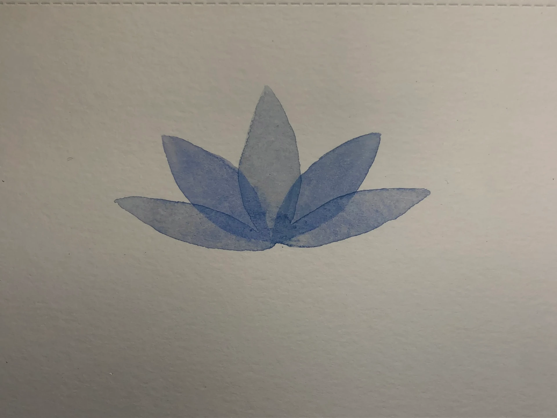 peindre les pétales d’une fleur à l’aquarelle