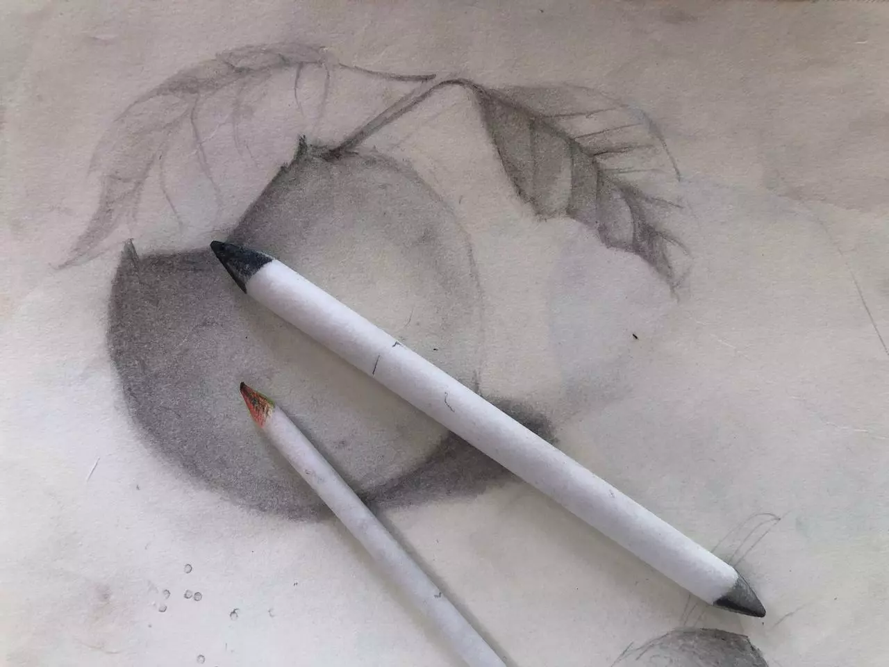 dibujo hecho a lápiz y con difumino