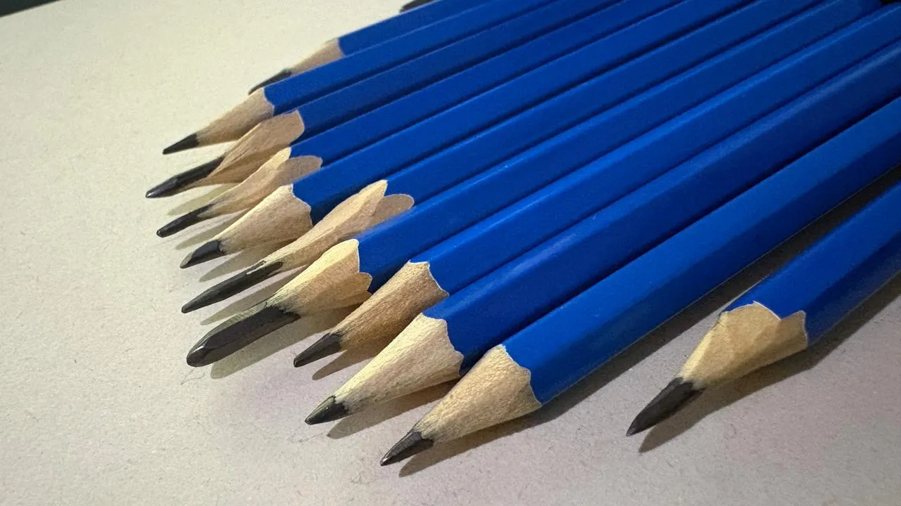 les différences entre le crayon graphite et la pierre noire