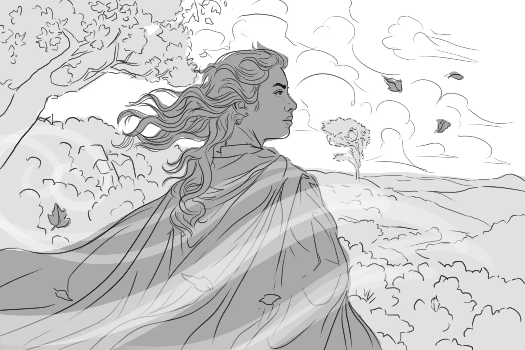 How to Draw the Wind