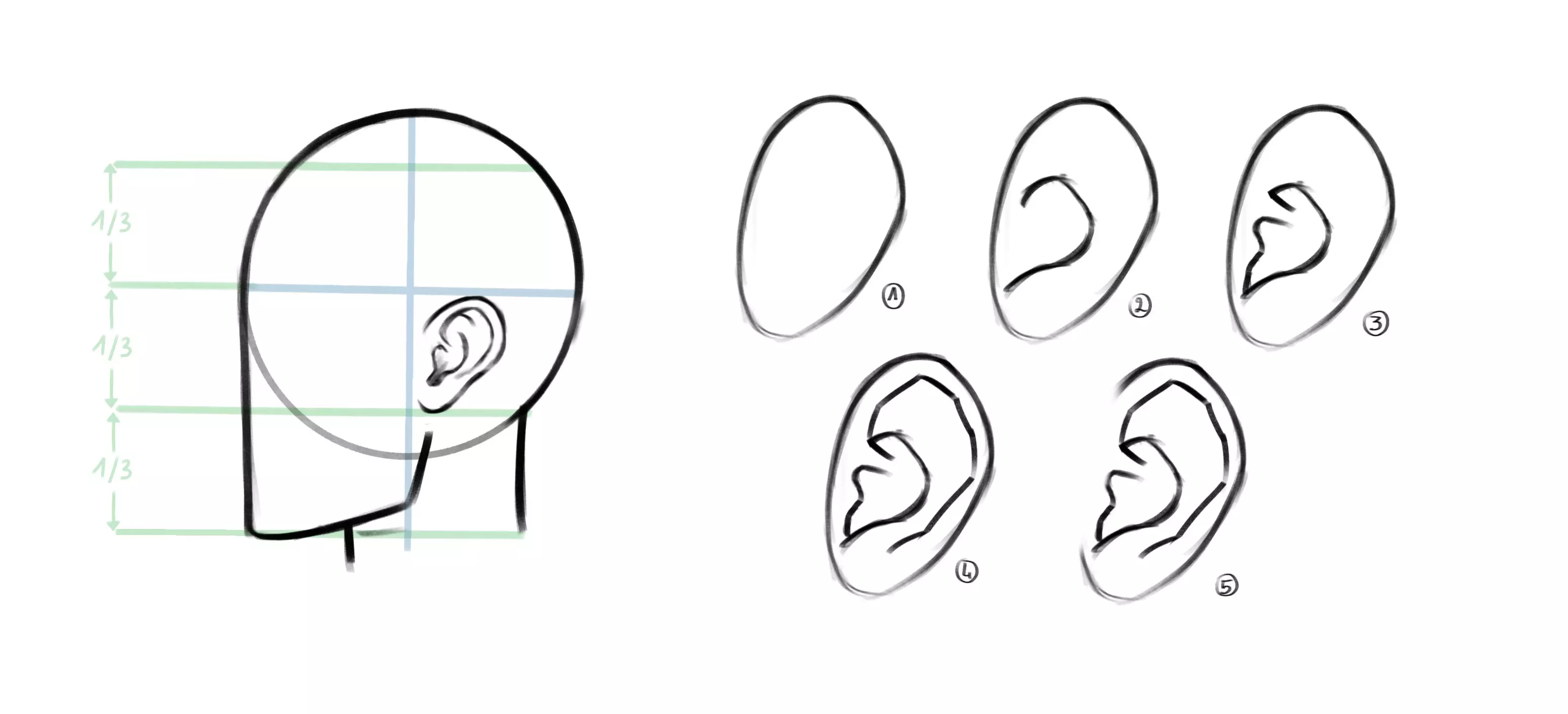 alt image : dessin d’une oreille d’un visage de profil