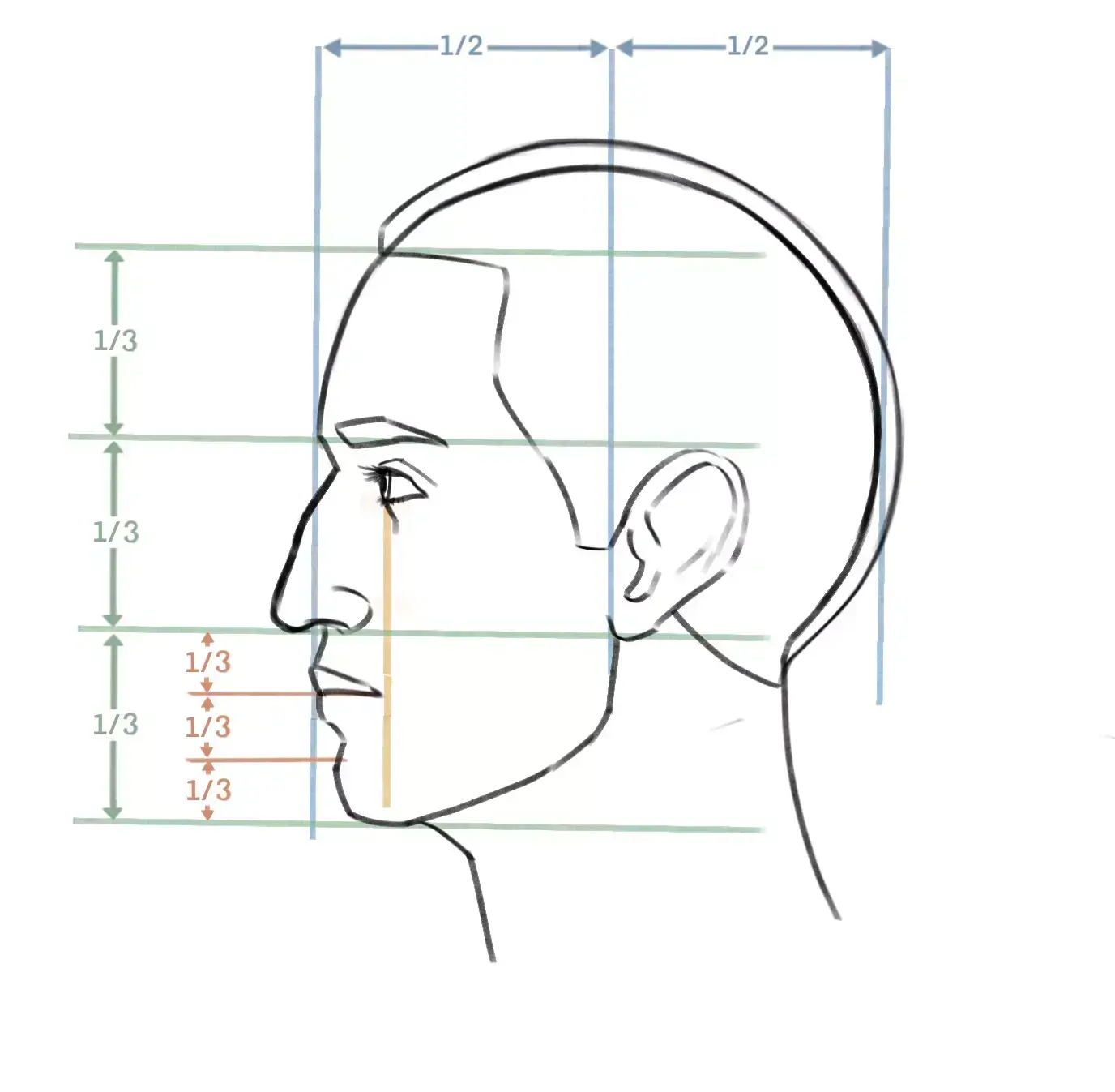 M thode Infaillible Pour Dessiner Des Visages De Profil XSDQFA