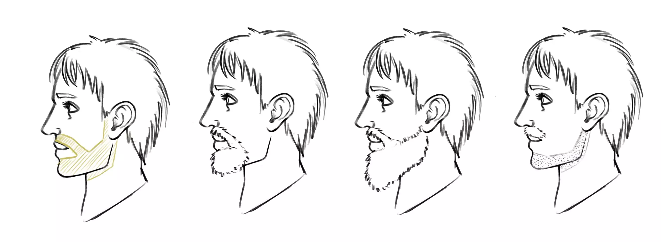 exemples de dessins d’une barbe