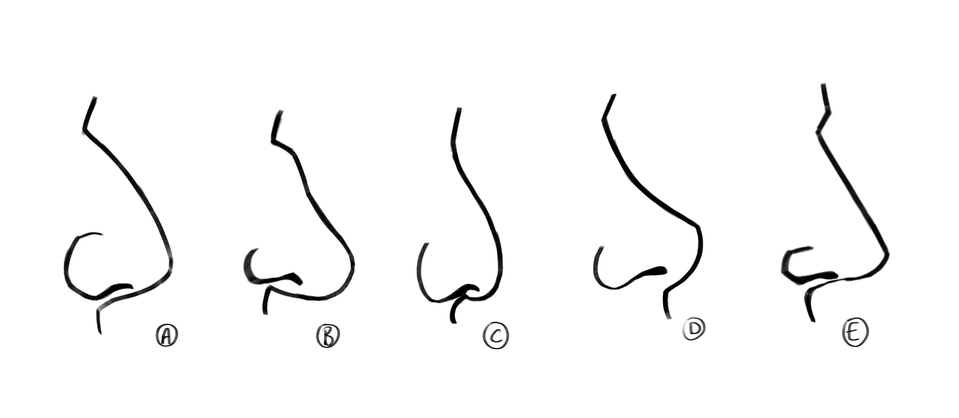 exemples de dessins d’un nez