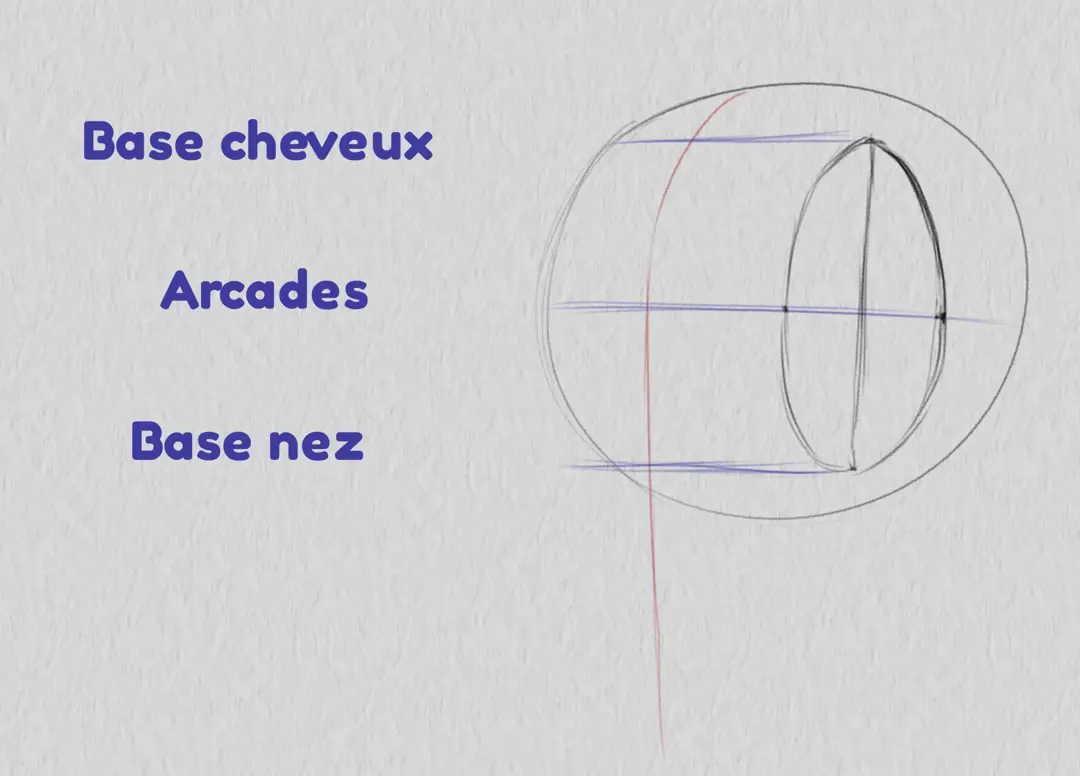 dessiner la base des cheveux d’un visage de trois quarts