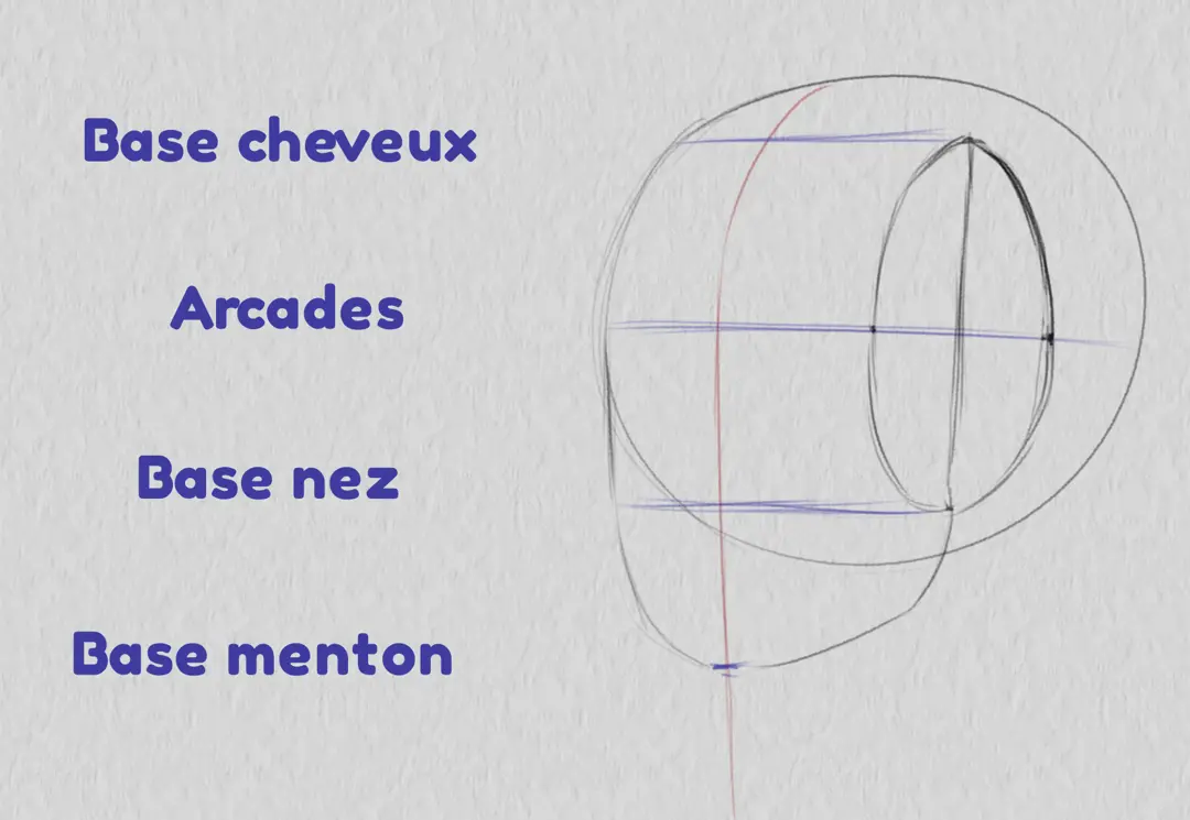 dessiner la base du menton d’un visage de trois quarts