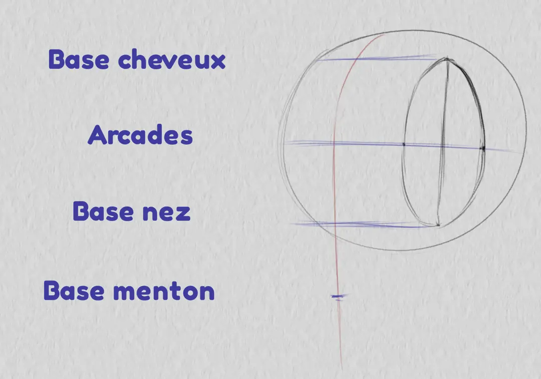 dessiner la base du nez d’un visage de trois quarts