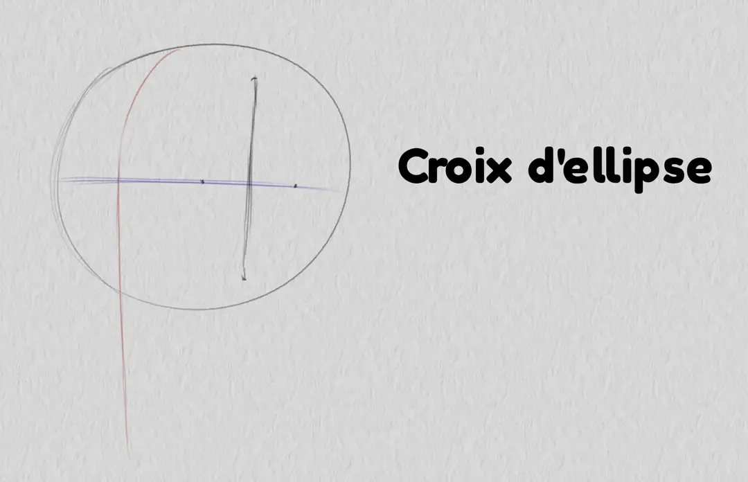 dessiner la croix d’ellipse d’un visage de trois quarts