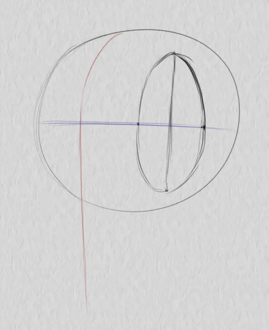 dessiner les ellipses d’un visage de trois quarts