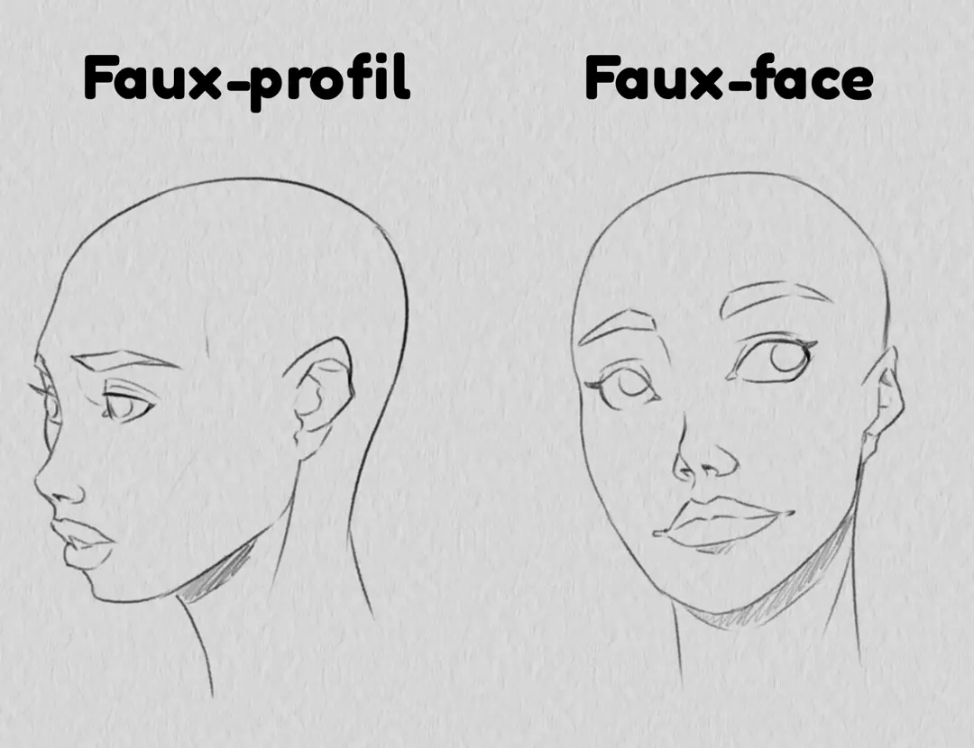 exemple d’un dessin de faux profil et de faux face en trois quarts