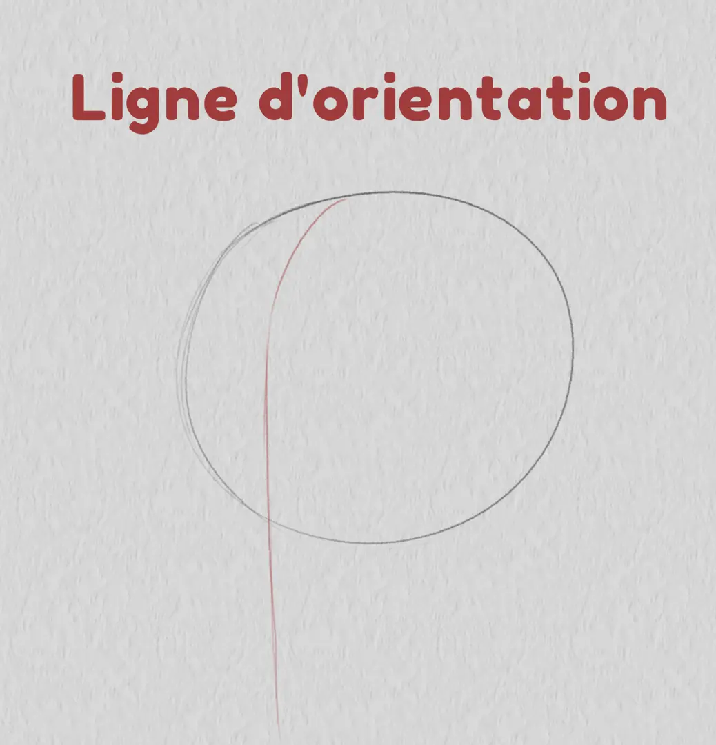 dessiner la ligne d’orientation d’un visage de trois quarts