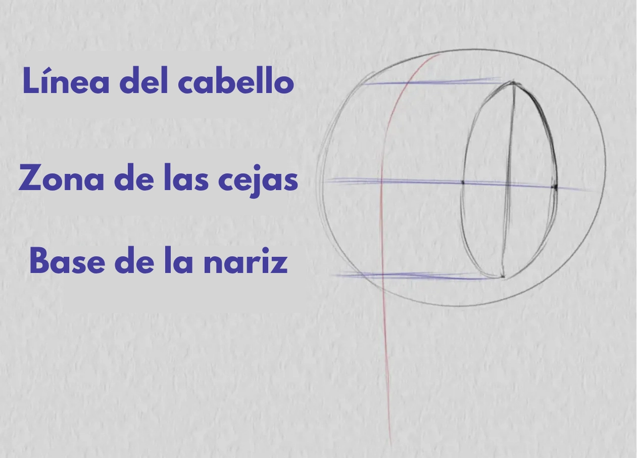 dibujar la base del cabello de un rostro de tres cuartos