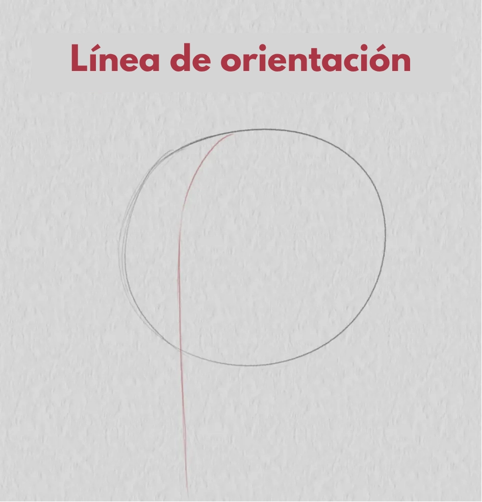 dibujar la línea de orientación de un rostro de tres cuartos