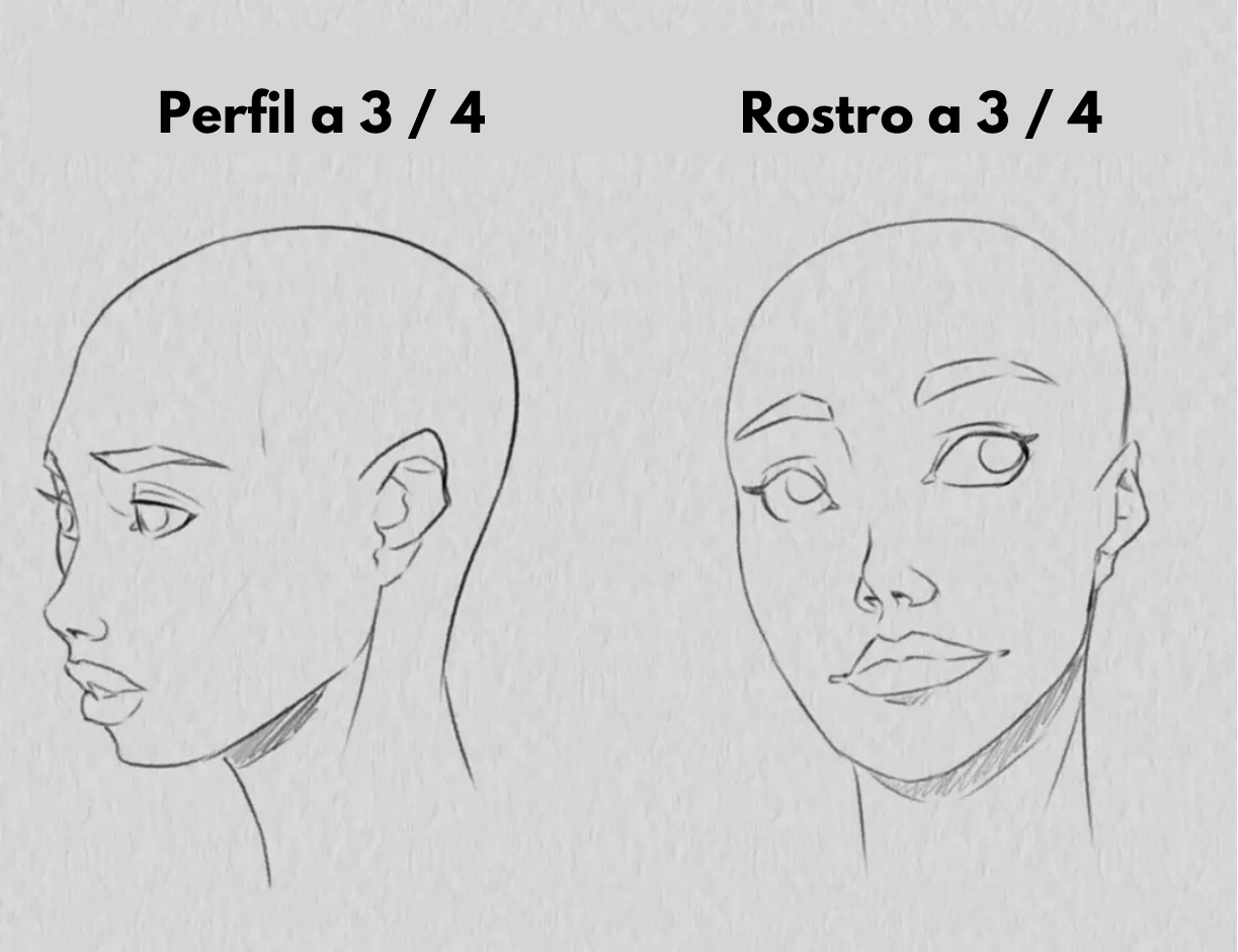 ejemplo de un dibujo de perfil falso y de cara falsa en tres cuartos