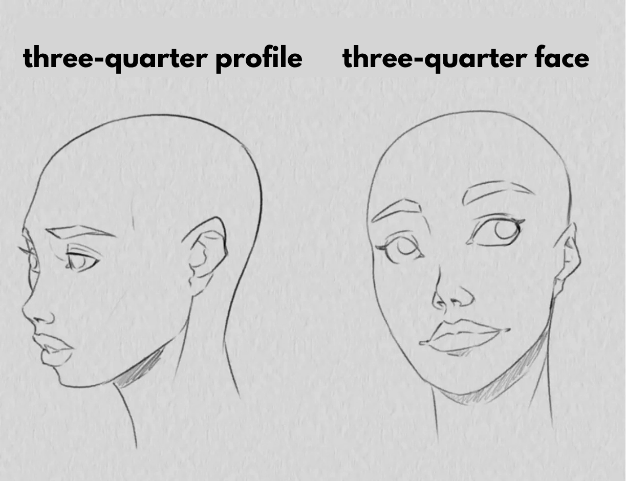 example of a faux profile drawing and a faux three-quarter face