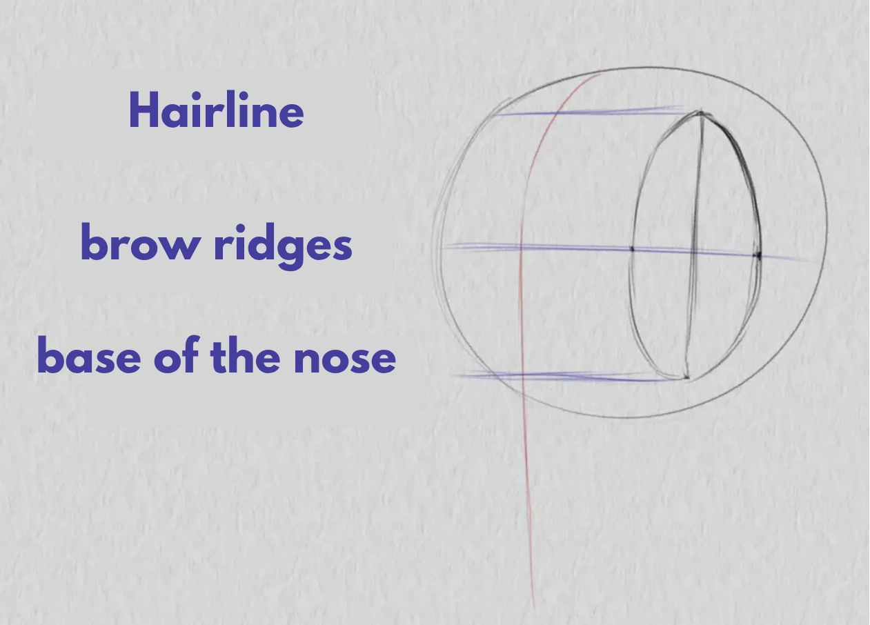 drawing the reference points on a three-quarter view face