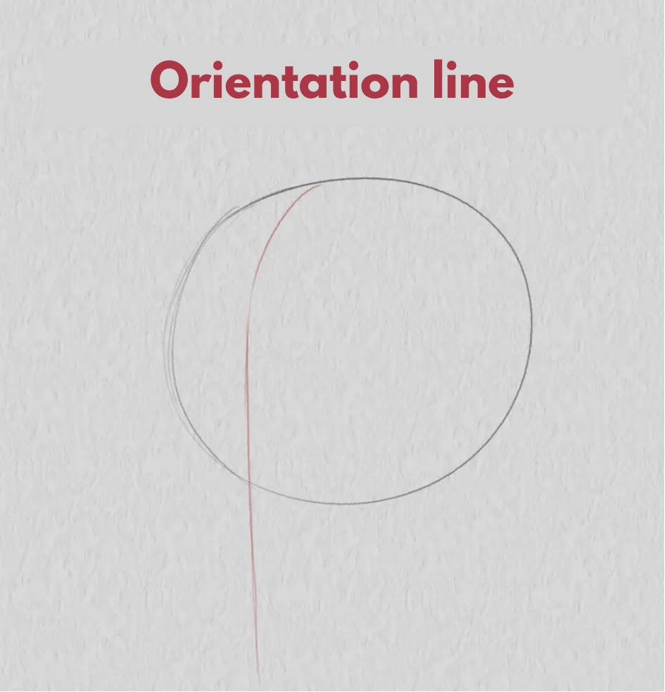 Drawing the guideline of a three-quarter face