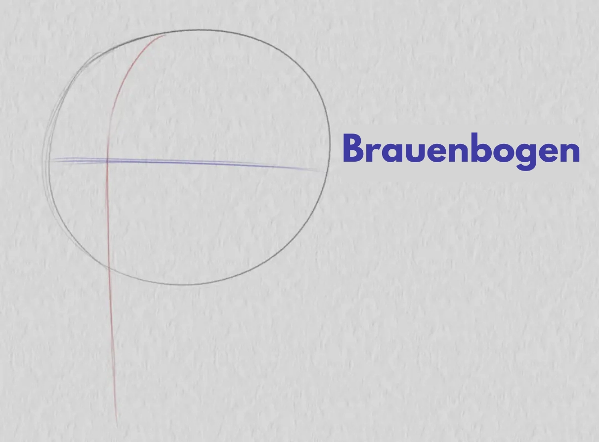 die Bögen eines Gesichts im Dreiviertelprofil zeichnen