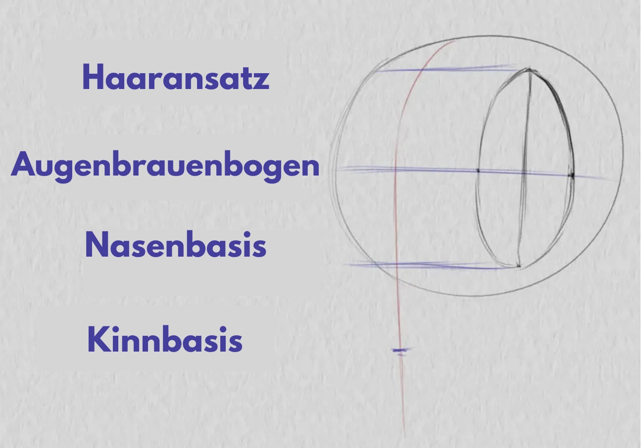 zeichne die Basis der Nase eines Dreiviertel-Gesichts