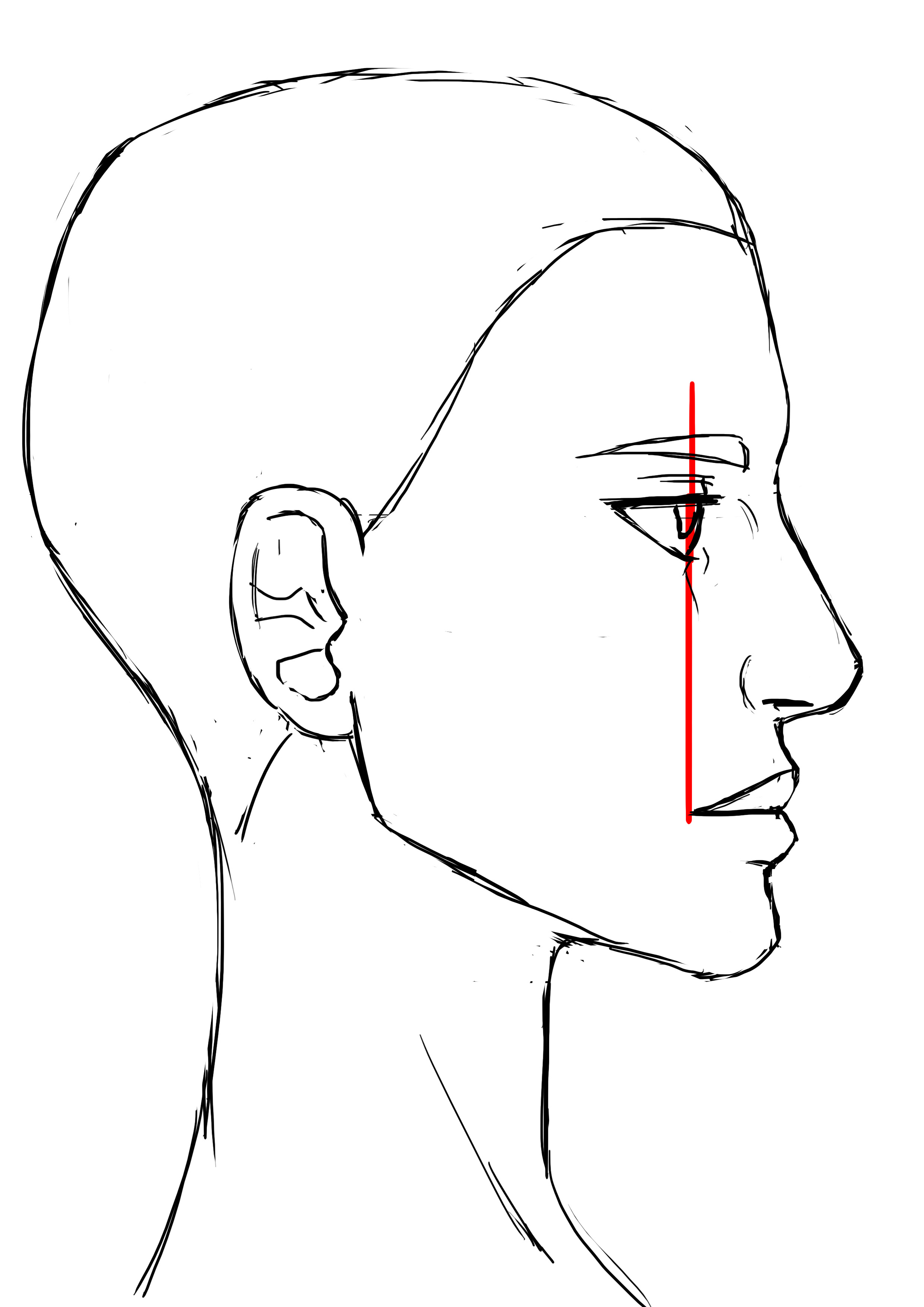 proportions de la bouche pour le visage de femme 2