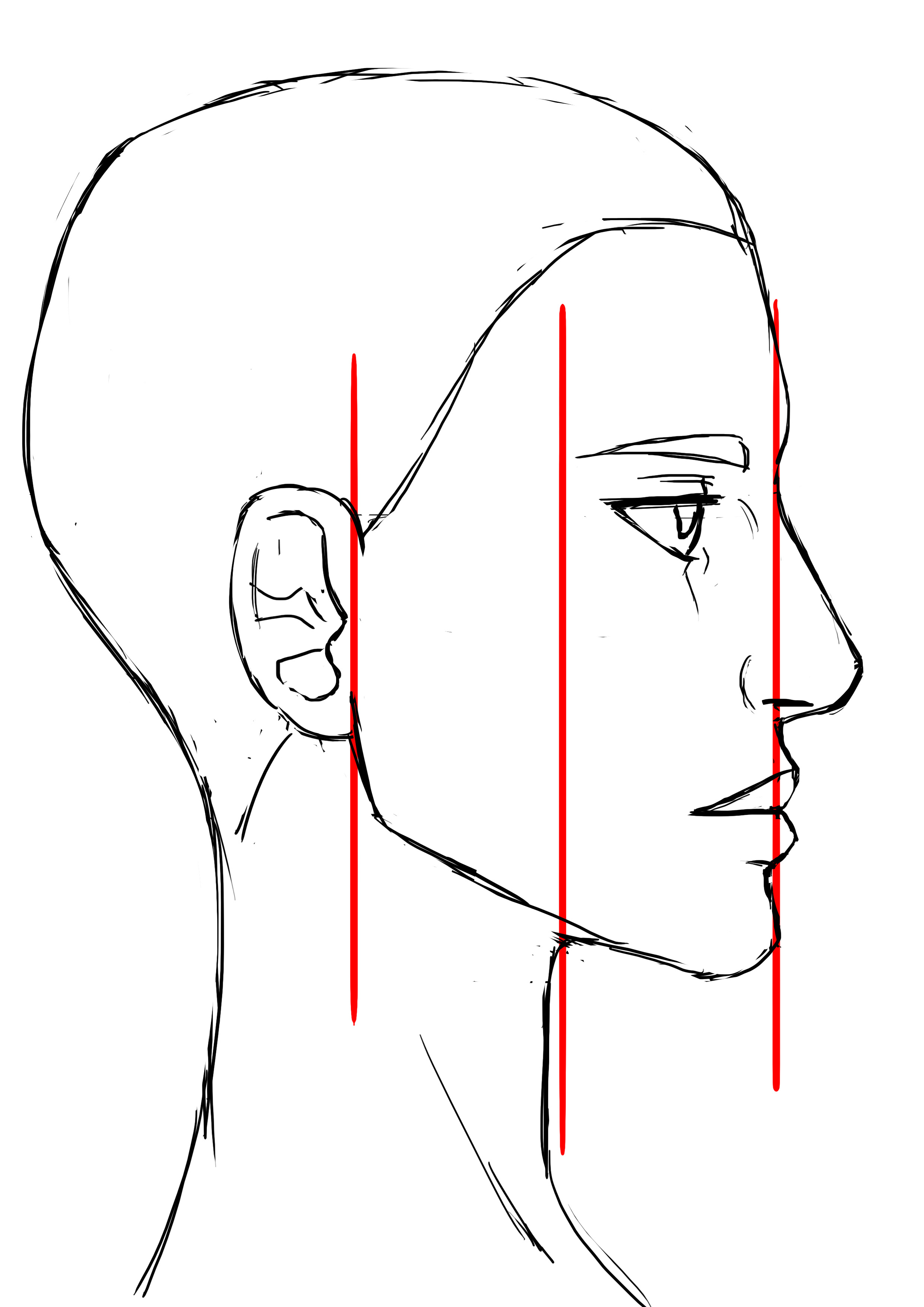 proportions du cou pour le visage de femme