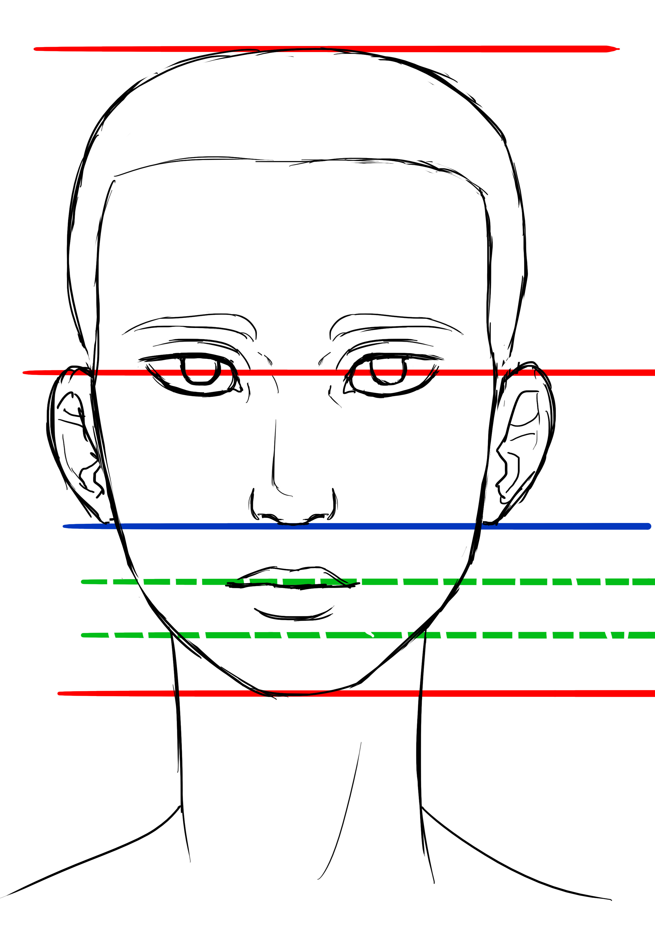 proportions du visage de femme de face