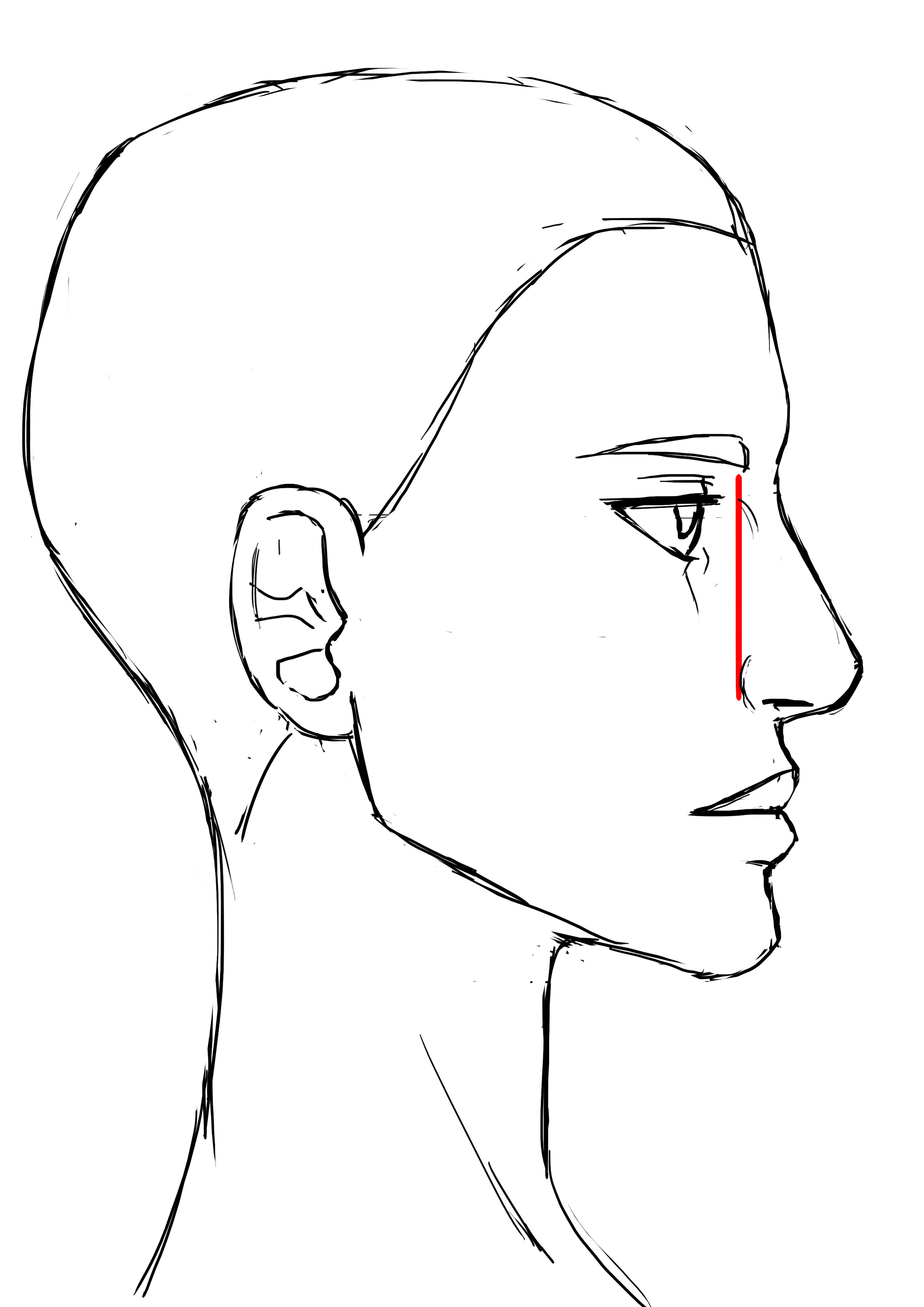 proportions du nez pour le visage de femme